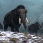 woolly mammoths - 1